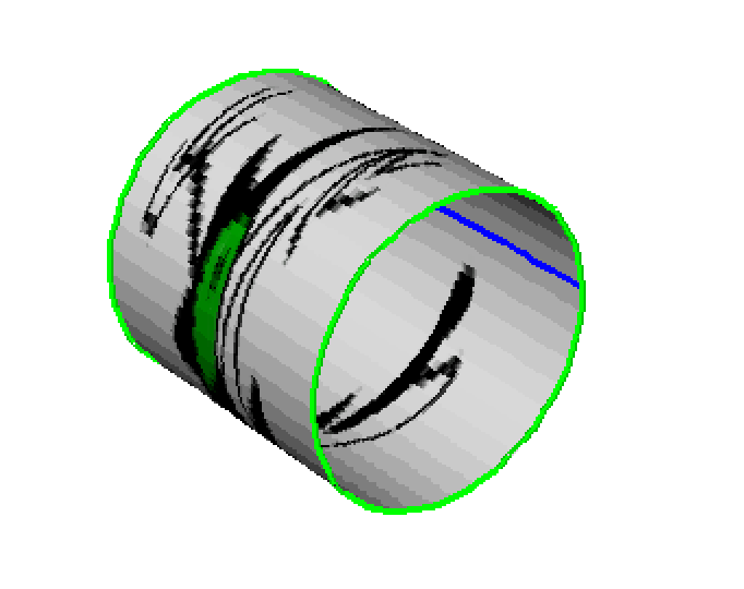 Cell wrapped to form a torus